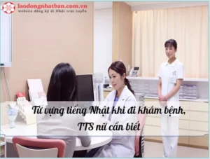 các từ vựng khám sức khoẻ tiếng nhật​
