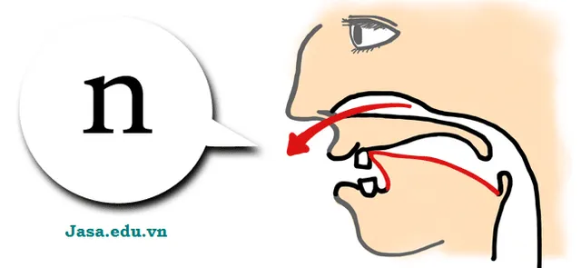 Tổng Quan Về Âm N Trong Tiếng Nhật