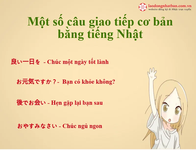 Xin Lỗi