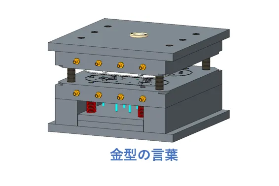 Từ Vựng Cơ Bản Về Khuôn Mẫu