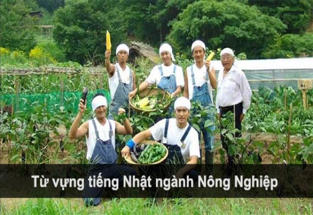 Từ Vựng Cơ Bản Về Nông Nghiệp