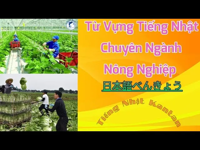 Ứng Dụng Thực Tế Và Ví Dụ